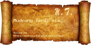 Mudrony Terézia névjegykártya