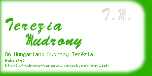terezia mudrony business card